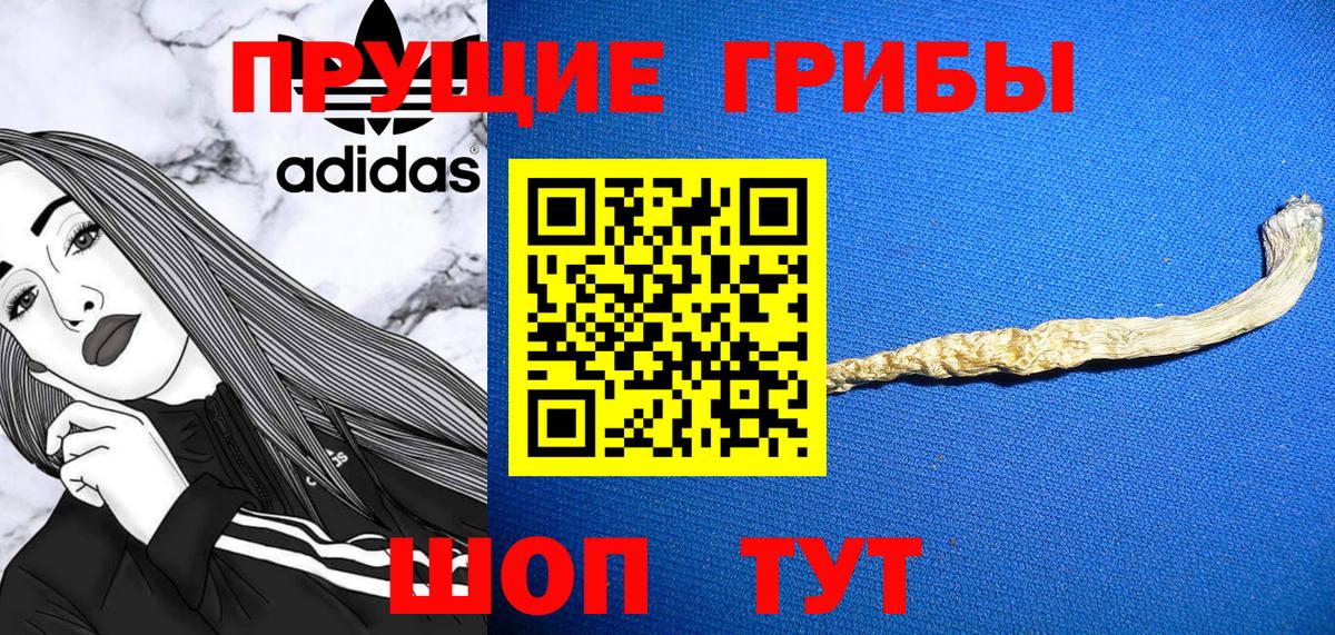 Галлюциногенные грибы прущие грибы Волжск